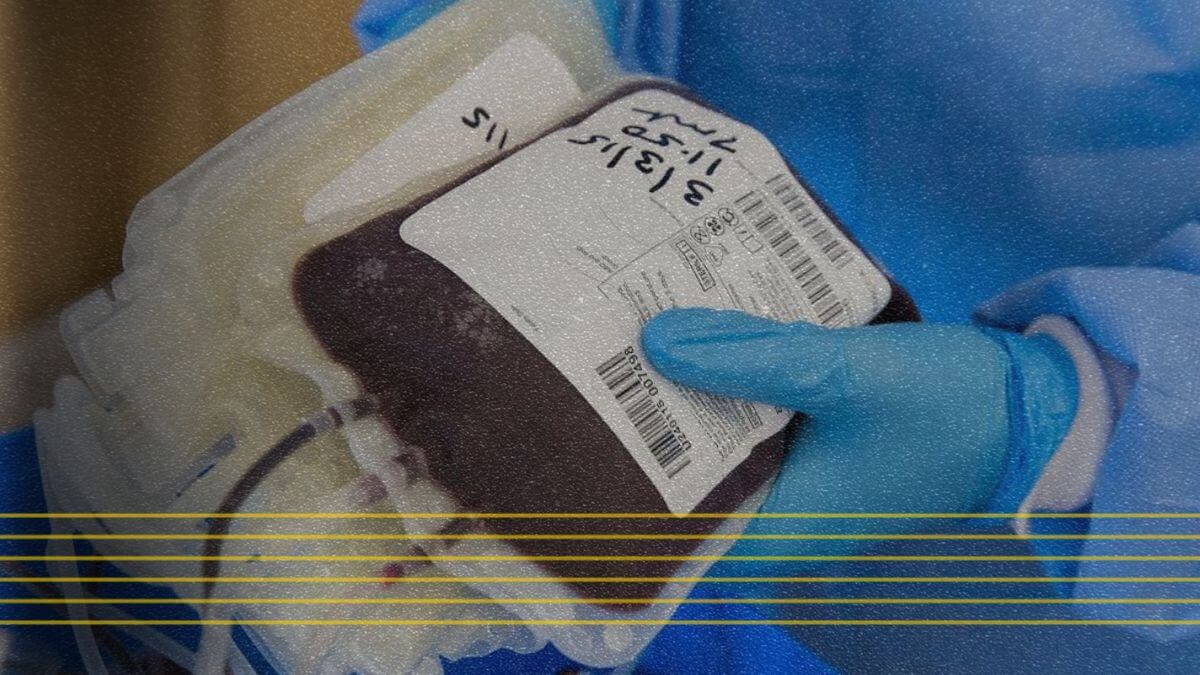 Profissional da saúde segura saco plástico de plasma e sangue