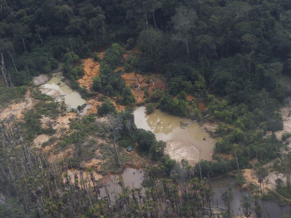 Imagem aérea de garimpo ilegal no território yanomami