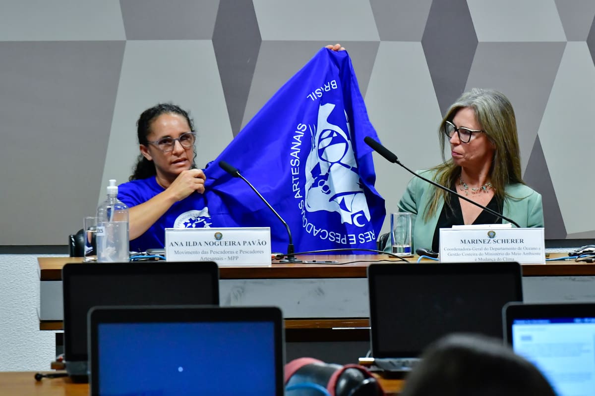 Ilda Nogueira em audiência pública do Senado destinada a instruir sobre a PEC 3/2022