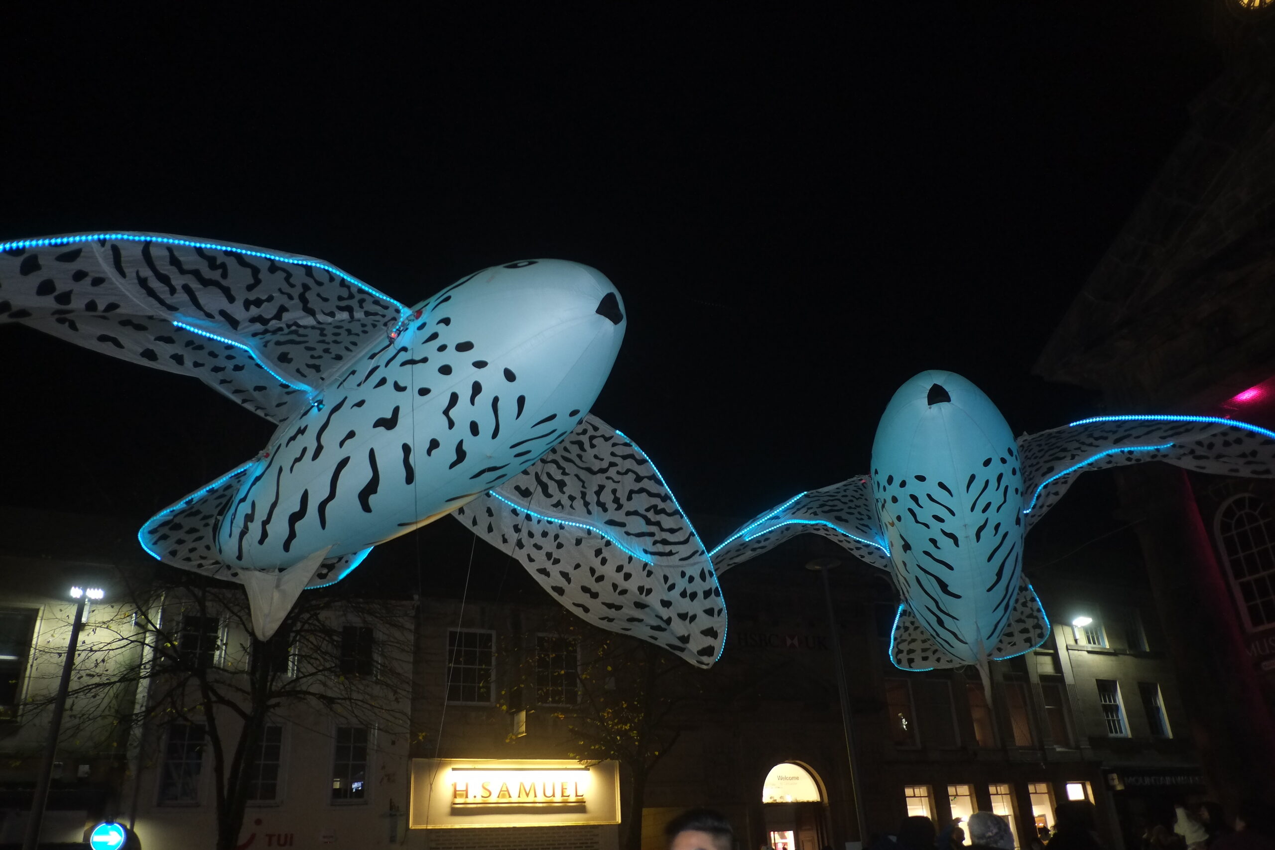 Light Up Lancaster Lancaster Arts City