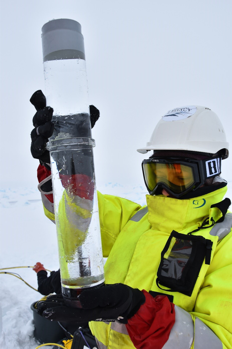 Picture 3: Yasemin Bodur inspecting the content of a sediment trap retrieved by divers. Photo: Haakon Hop