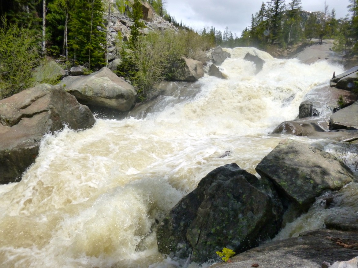 The upper Roaring Fork River lives up to its name on June 11, 2015 as it roars down the steep descent at the Grottos area east of Aspen.