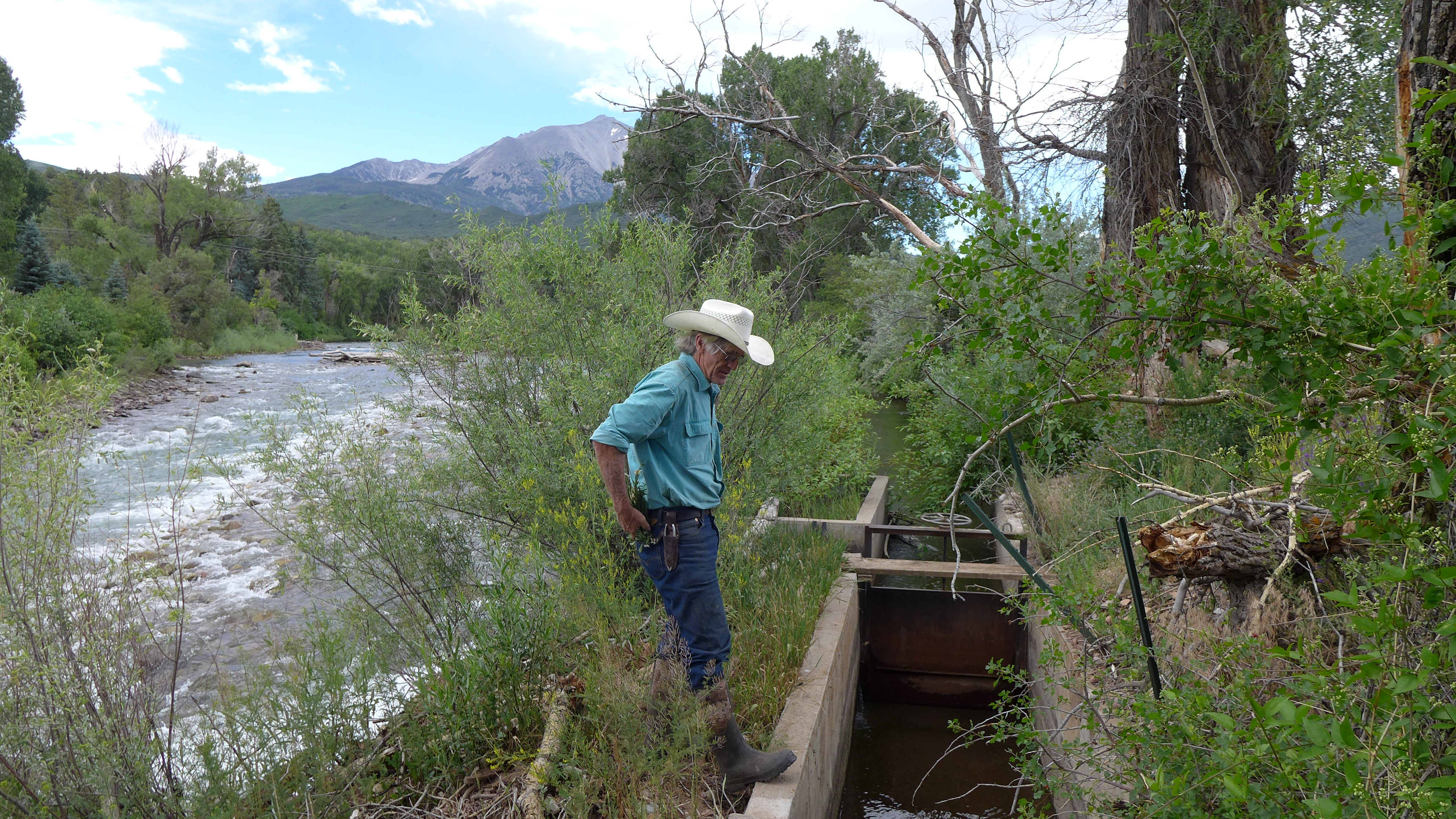Crystal River rancher Bill Fales