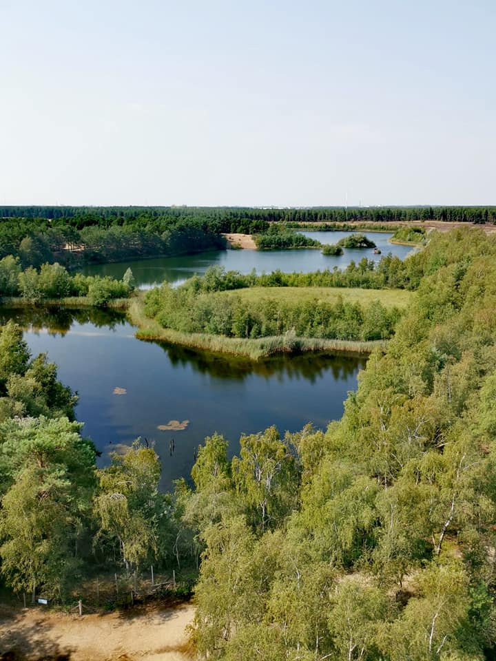 Le Sahara De Lommel 6 Km Au Fil De Nos Decouvertes