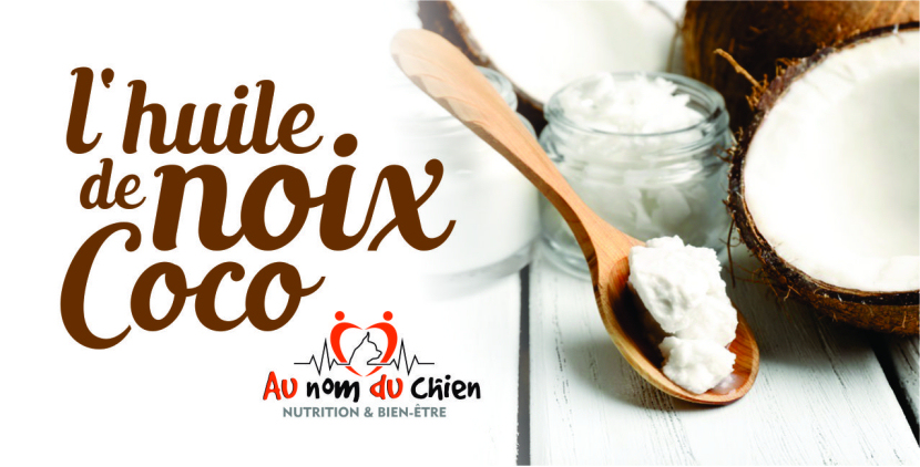 L Huile De Noix De Coco Le Supplement Miracle Pour Votre Chien Au Nom Du Chien