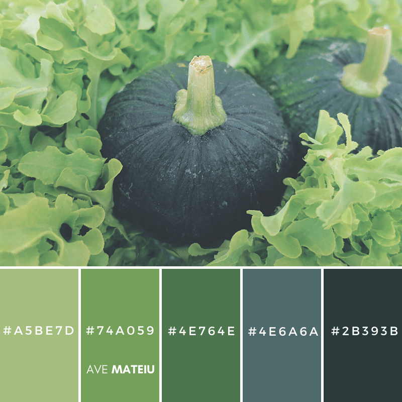 Dark Green Pumpkin With Lettuce Color Palette 390 Ave Mateiu