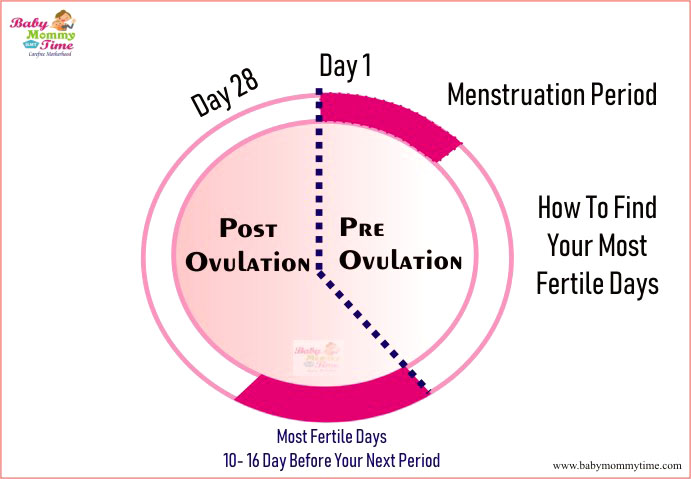 5 Ways To Find Your Most Fertile Days For Pregnancy Ovulation Cycle Babymommytime Top Blogs On Baby Care Parenting Tips Advice