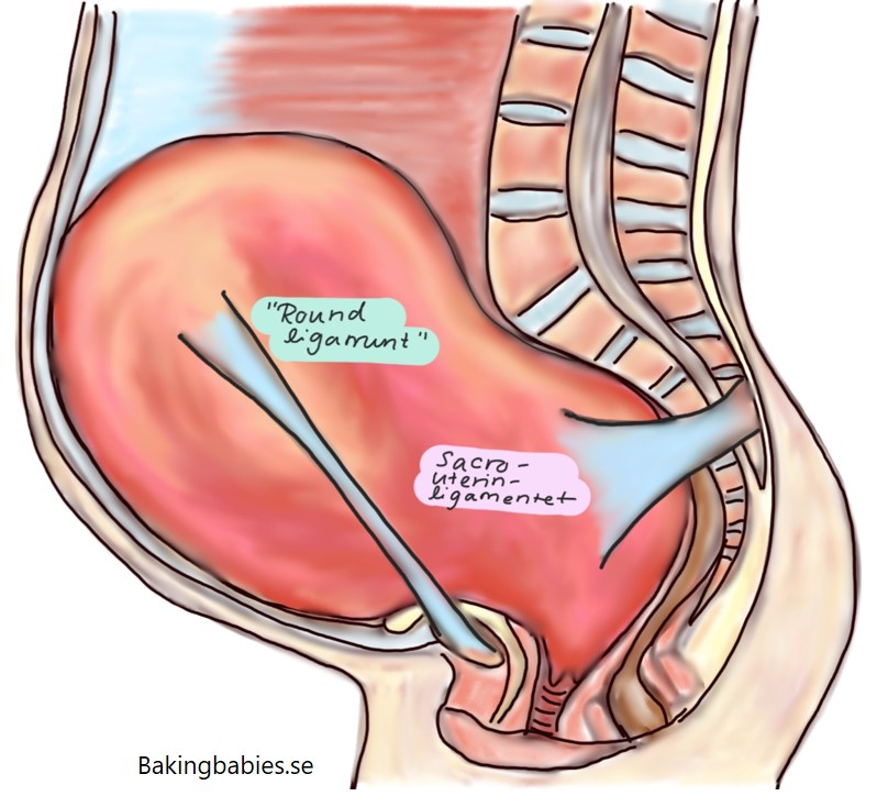 ont i benen gravid
