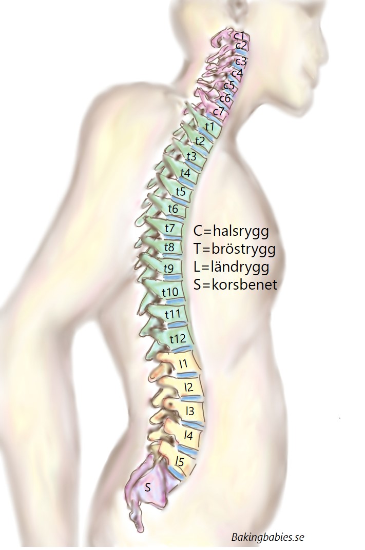 Ont I Ryggen Efter Epidural Bakingbabies