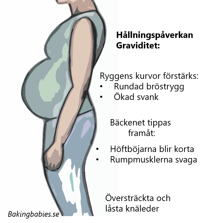 Forbereda Kroppen Infor En Graviditet Bakingbabies