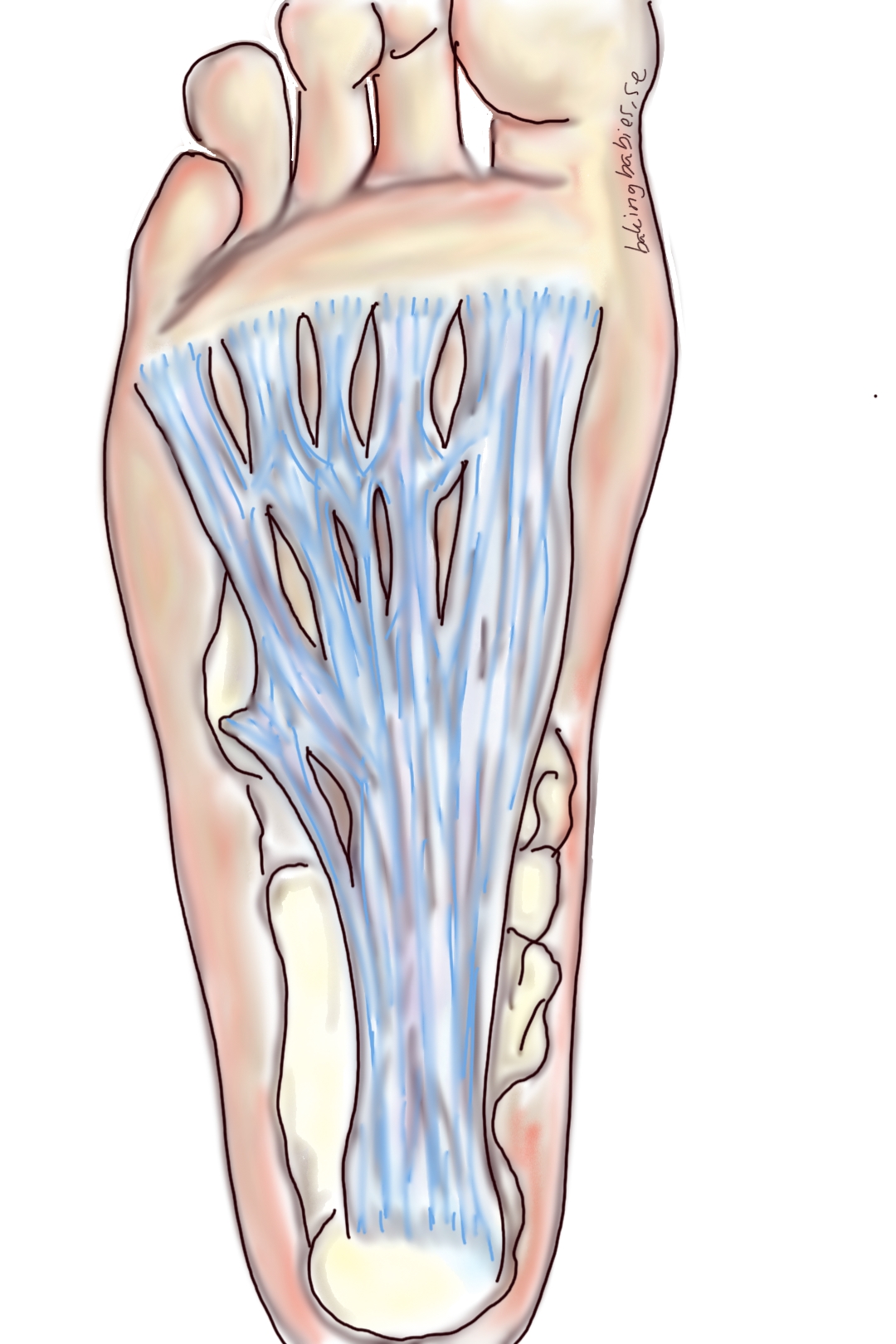 Fotsmarta Efter Graviditet Bakingbabies