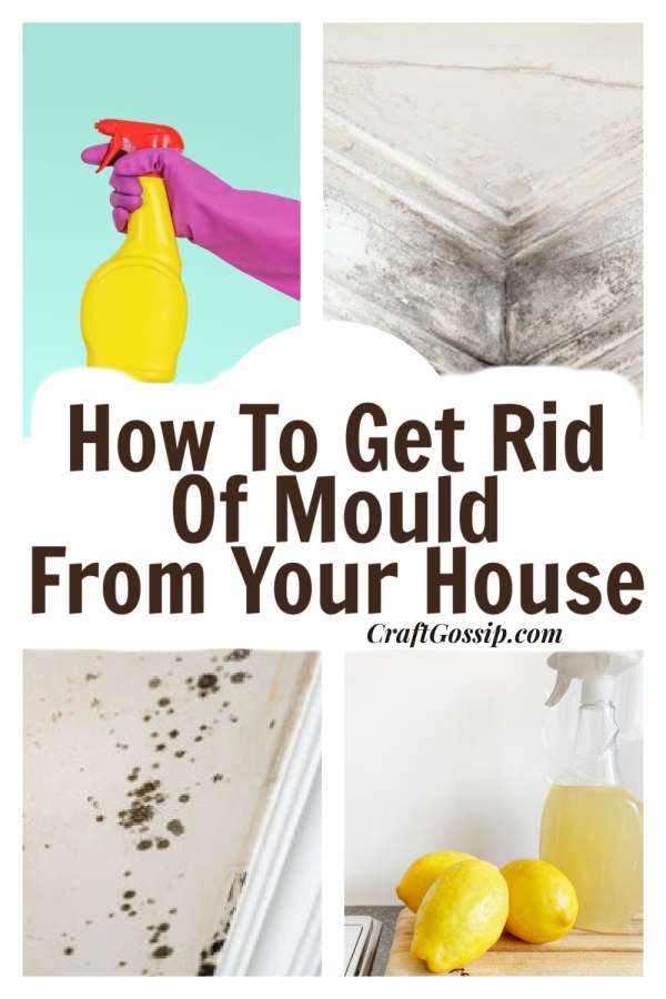 How To Get Rid Of Mould And My Top Tips For Preventing It Bath And Body