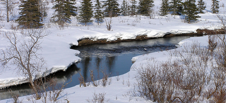 a frozen river 