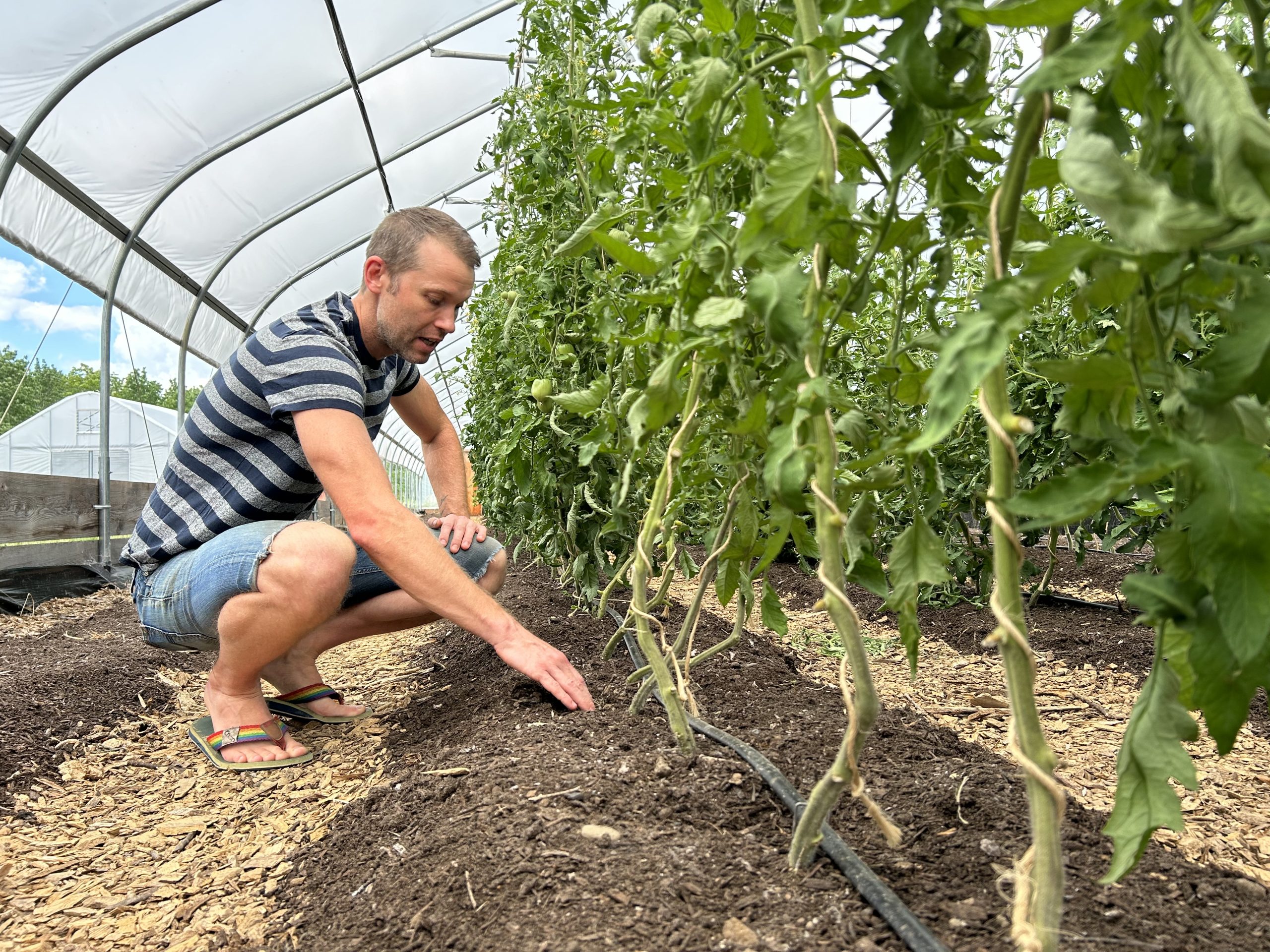 More Maine farmers are giving up the plow