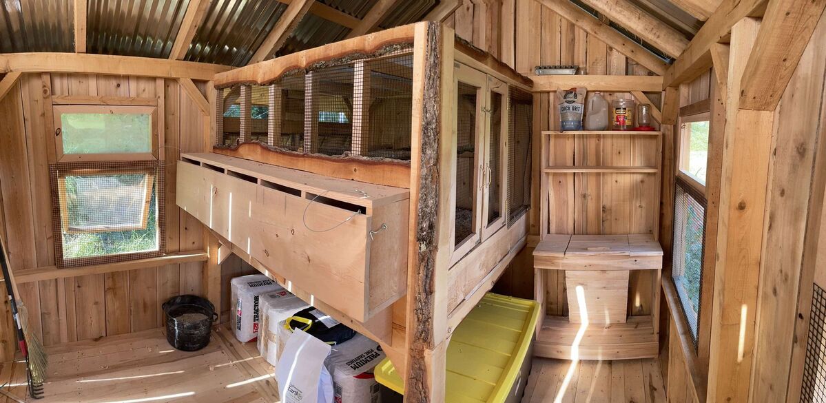 Mainers are spending thousands of dollars on luxury chicken coops