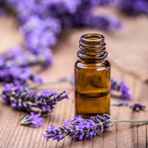 Lavender Essential Oil Beejewelled
