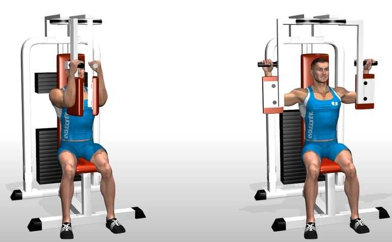 The 4 Best Chest Workout For Men For Maximum Result Bellisima Fitness