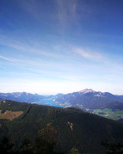 Bad Ischl Wandern Mit Hund Tipp Hundefreundliche Unterkunft Nahe Tour