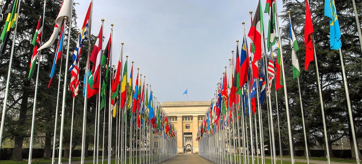 Conseil des droits de l'homme des Nations unies