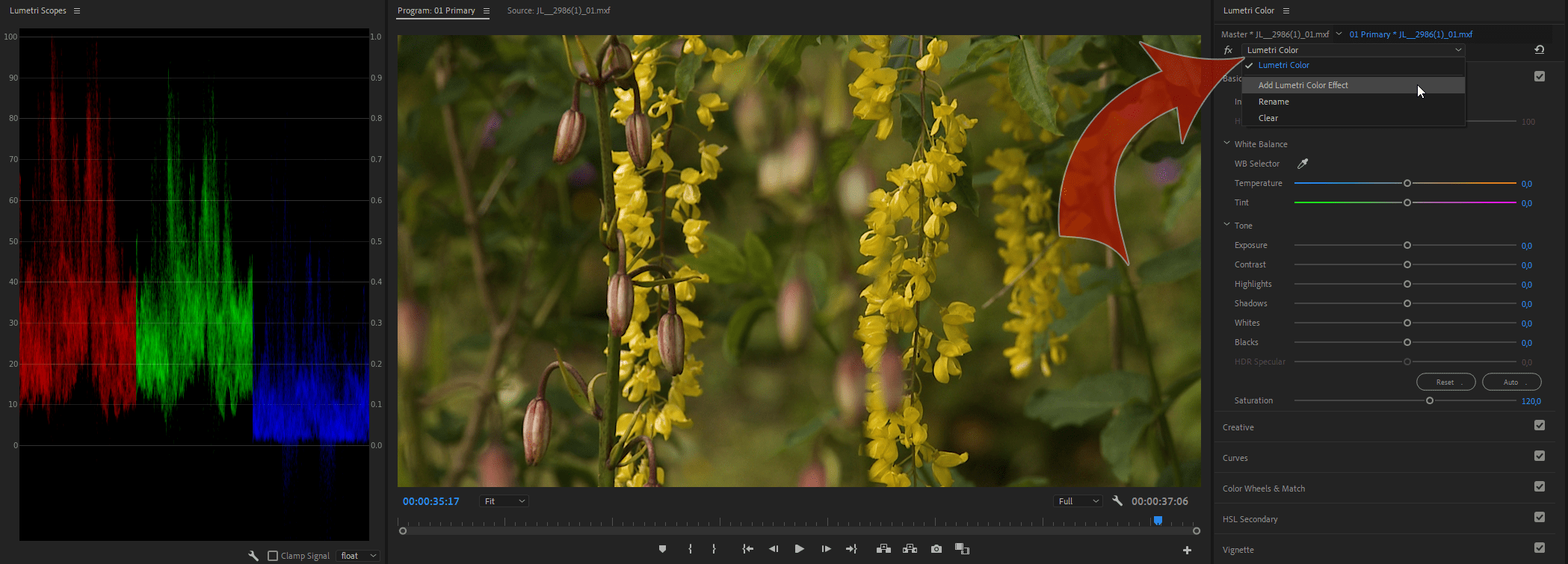 Premiere Color Correction: Naming instances of Lumetri