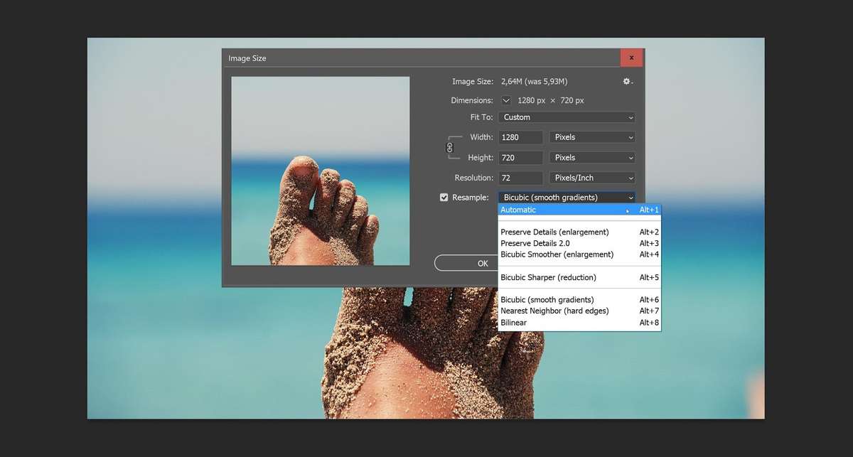 Photoshop scaling options.