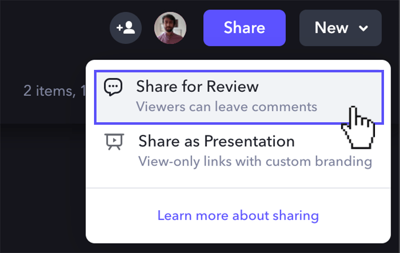 Frame.io Share