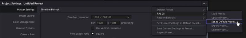 DaVinci Resolve Set as Default Preset option