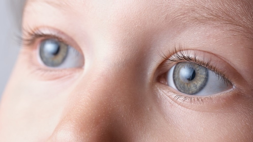 New Method Uses Ai To Screen For Fetal Alcohol Spectrum Disorder Science Research News Frontiers
