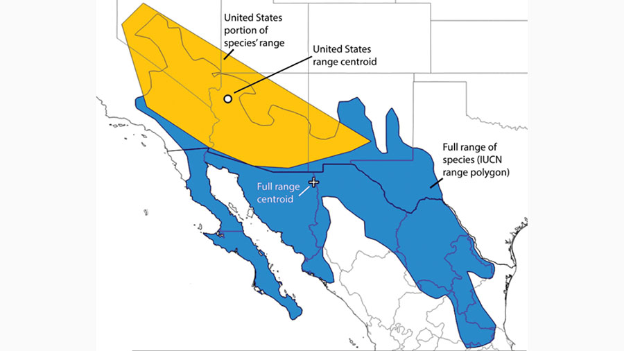 New light on the controversial question of species abundance and population density