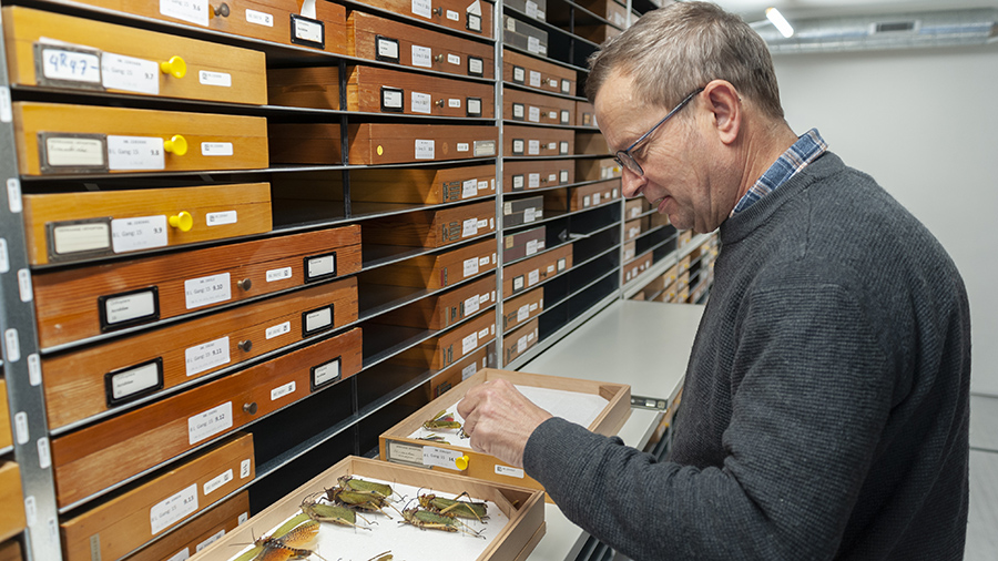 Image recognition to the rescue of natural history museums by enabling curators to identify specimens on the fly