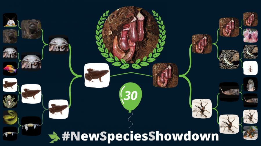 🥳 Here goes THE title in our New Species Showdown!