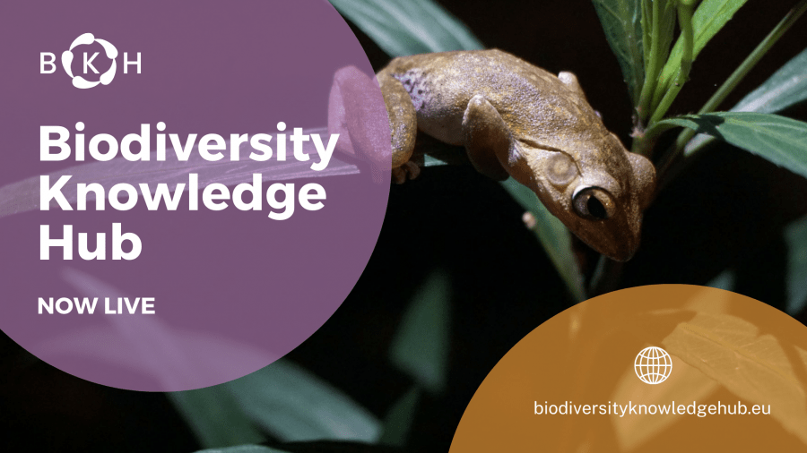 New way to browse interlinked biodiversity data: Biodiversity Knowledge Hub NOW ONLINE!