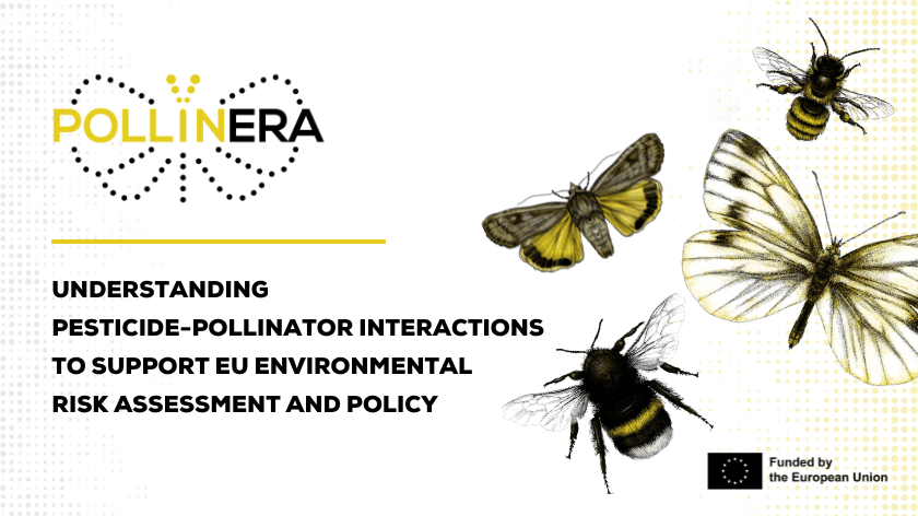 Moving towards a systems-based Environmental Risk Assessment for wild bees, butterflies, moths and hoverflies: Pensoft joins PollinERA