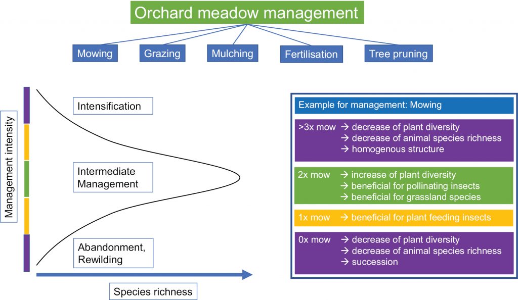 Orchard meadow management graphic.
