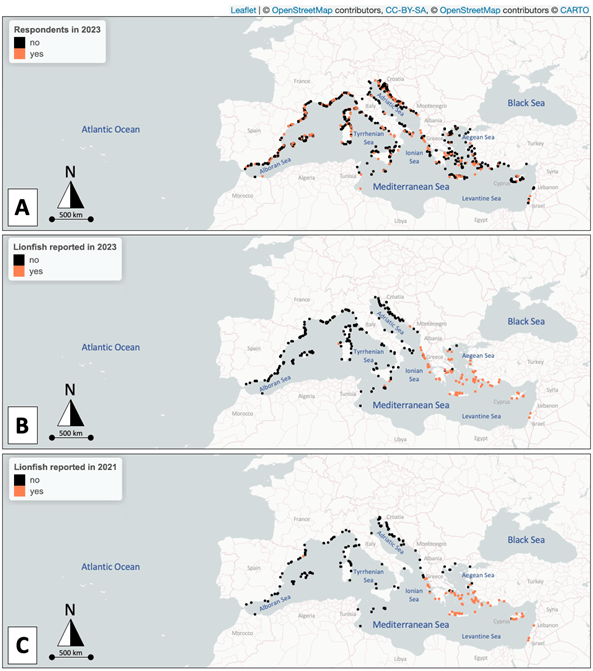Three maps of dive centre respondents and lionfish sightings on the Meditteranean Sea coat showing a gradual eastwrd progression of sightings.