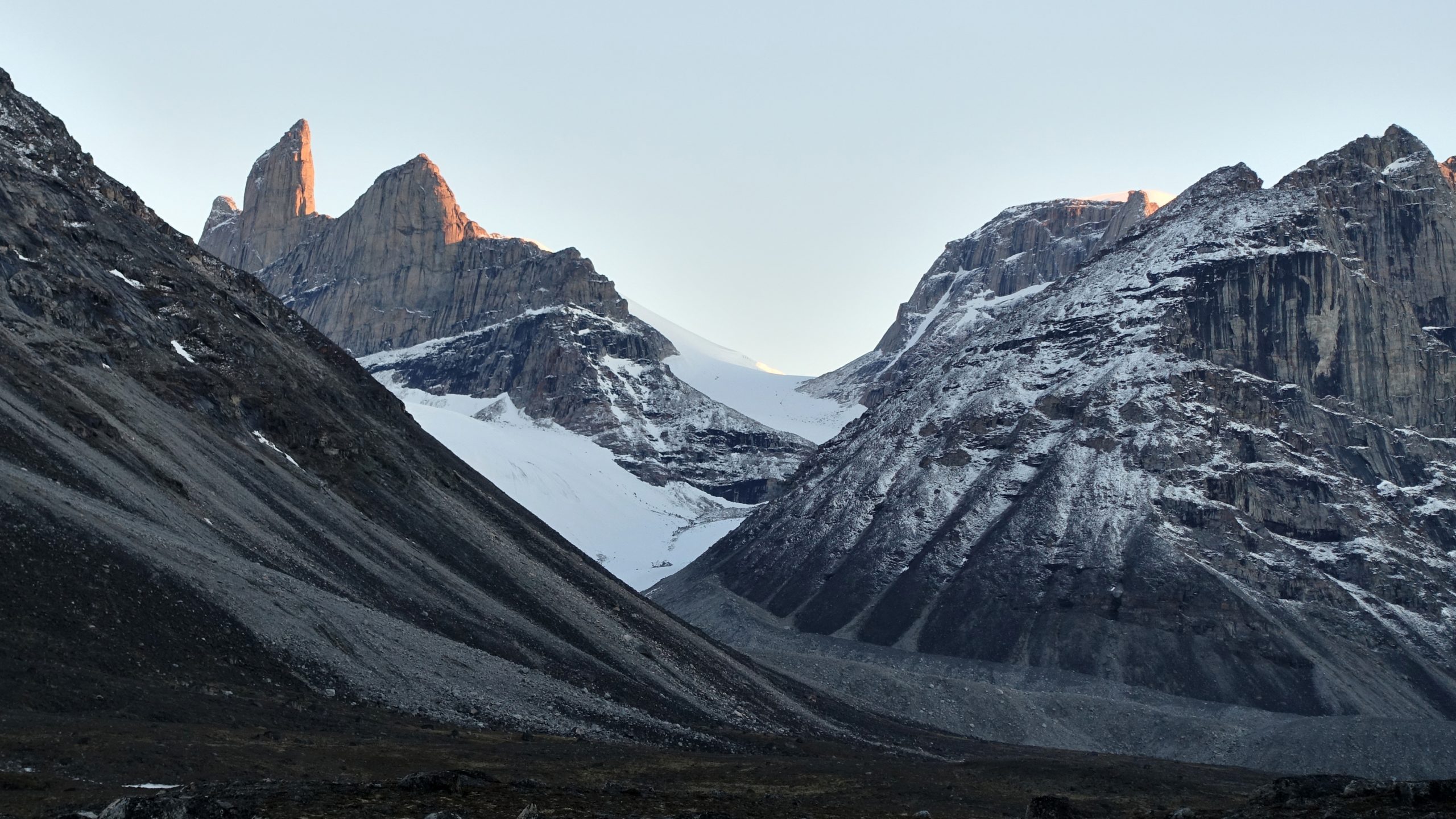 Arctic botany amongst the fjords: a new annotated species checklist for Agguttinni Territorial Park