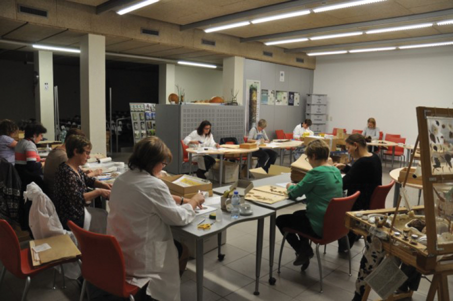 Several people sitting at tables working on herbarium specimens.