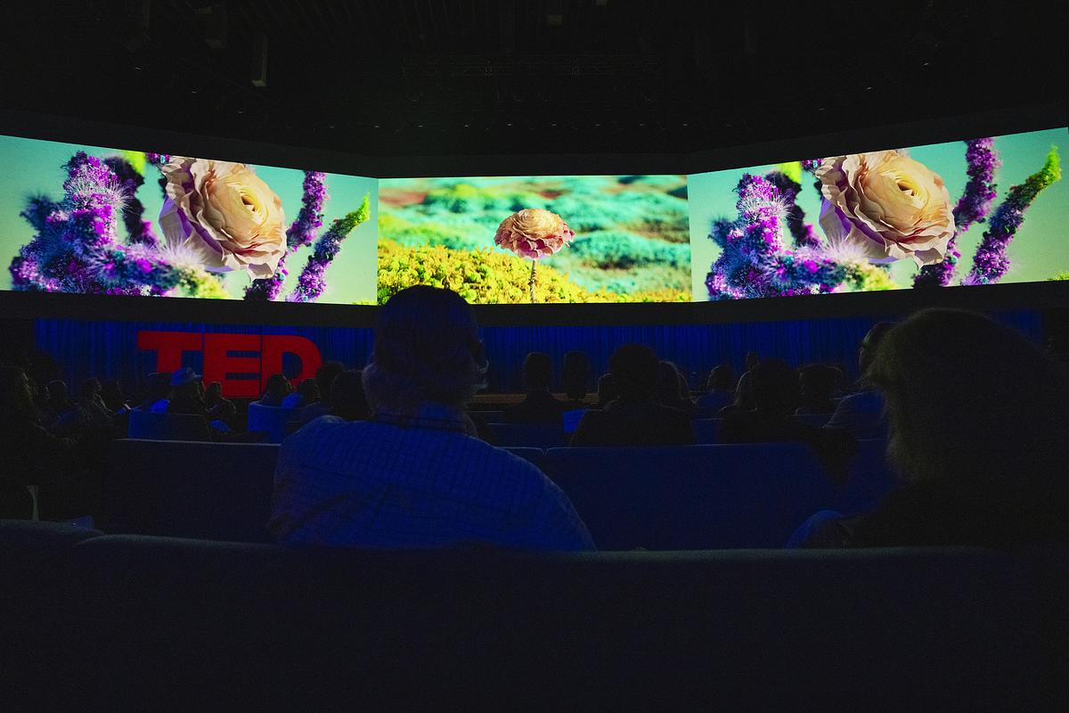 Spectacular new challenges and exciting solutions: The eye-opening interstitials of TED2024