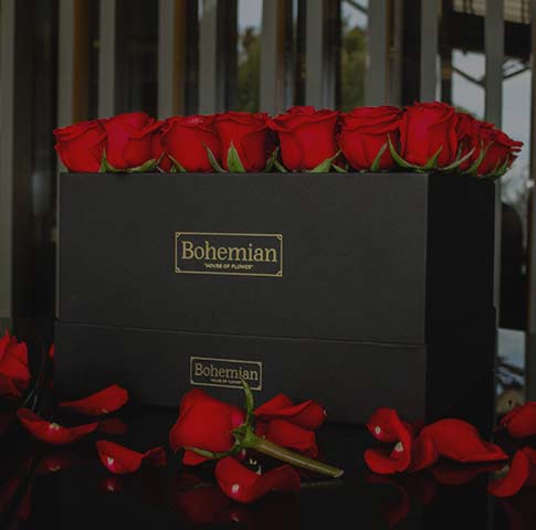 Collection Collection