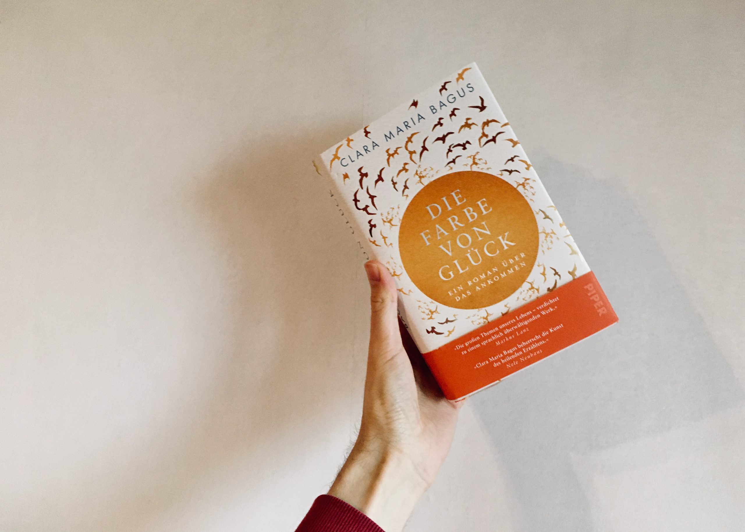 Roman Ein Heilsamer Roman Uber Die Farbe Von Gluck Und Die Wirren Wunder Des Lebens Booksandnotes