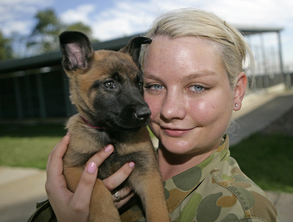 Naming of RAAF puppies