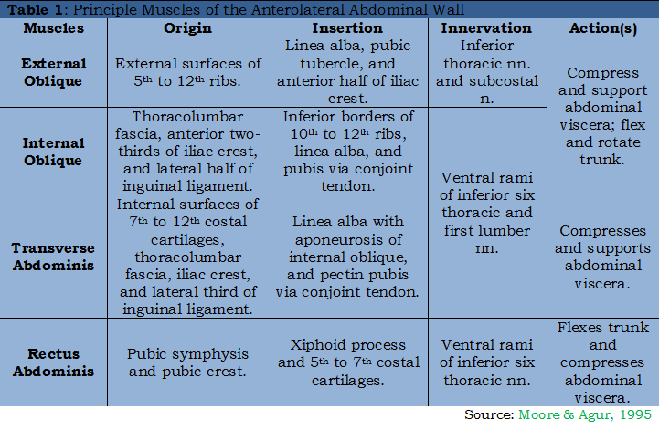 Picture, Table 1, Principle Muscles of the Anterolateral Abdominal Wall