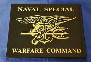 US Navy SEAL, Trident, Special Forces, Naval Special Warfare (3)