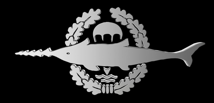 Logo, Kampfschwimmer