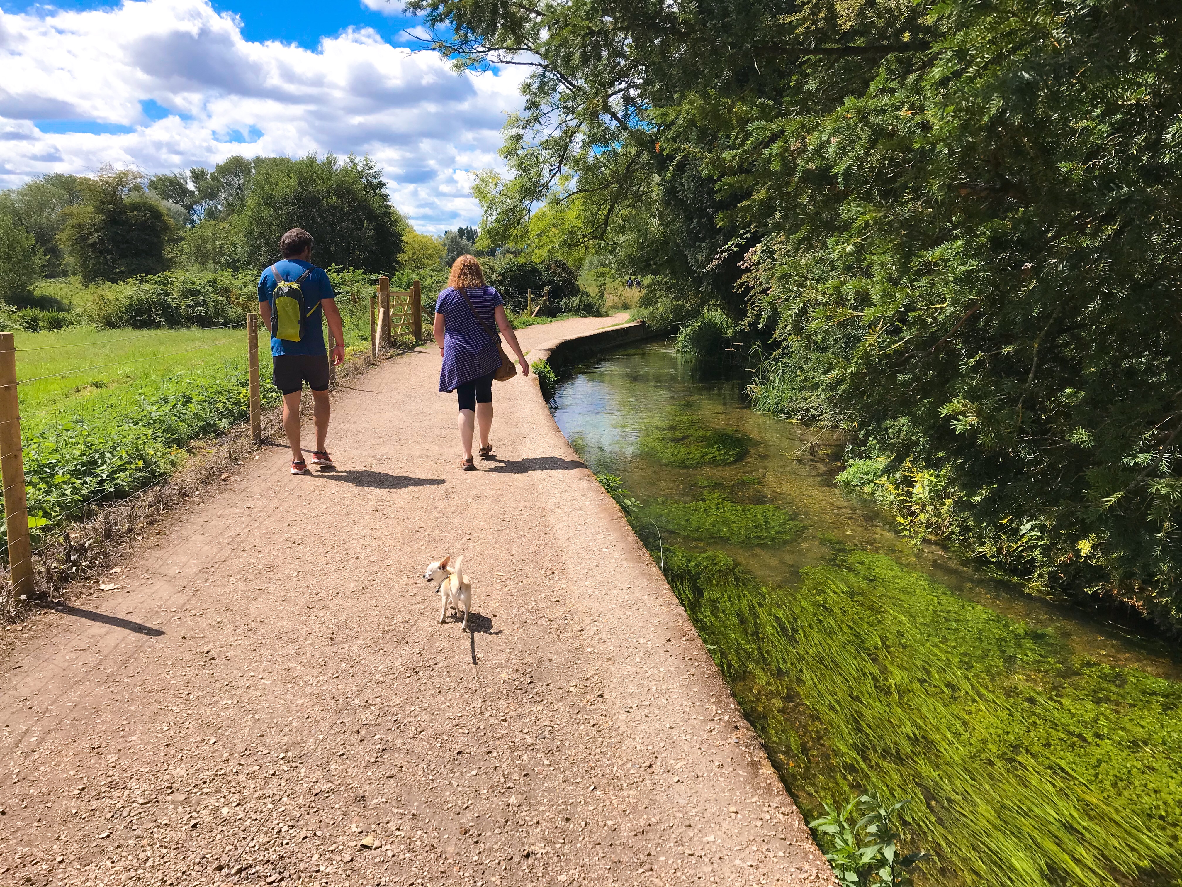 Walk The Winchester Water Meadows Bright Lights Big City