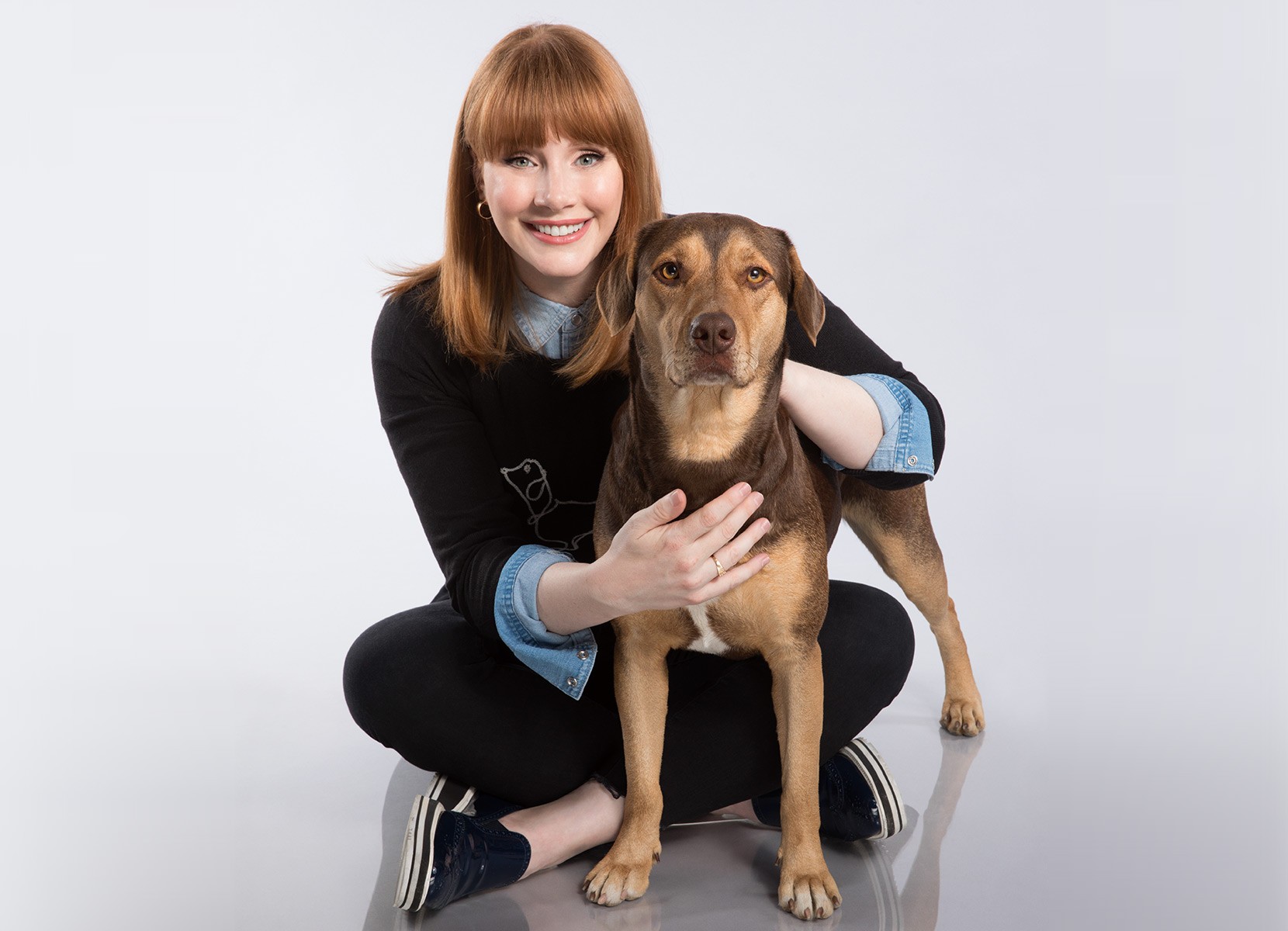 A Dog S Way Home Is Out Now The Bryce Dallas Howard Network