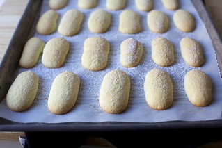 baked ladyfingers/savoiardi