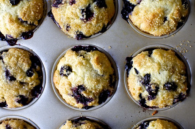 even more perfect blueberry muffins
