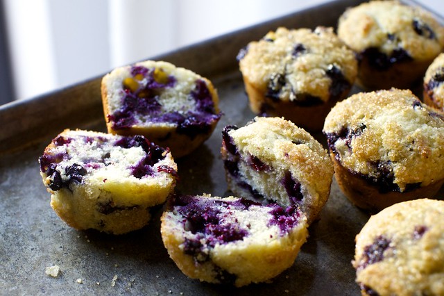 even more perfect blueberry muffins