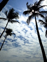 my second favorite view